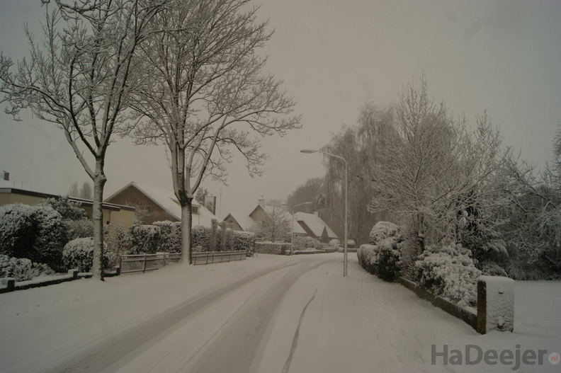 171210-PK-sneeuwval in Heeswijk-_2_.JPG